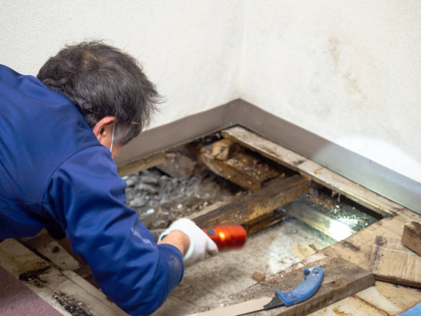 Trusted Poulsbo, WA Mold Remediation Experts