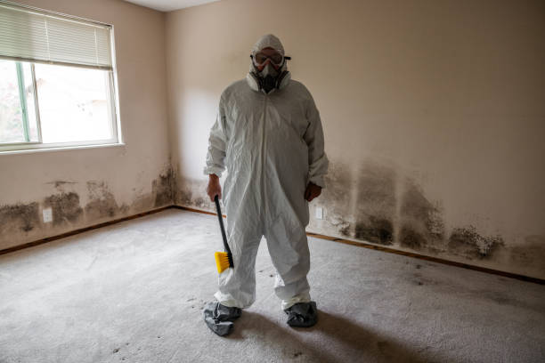 Best Mold Remediation for Specific Building Types in Poulsbo, WA